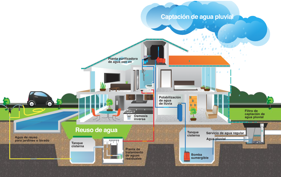 Tipos de Purificacion