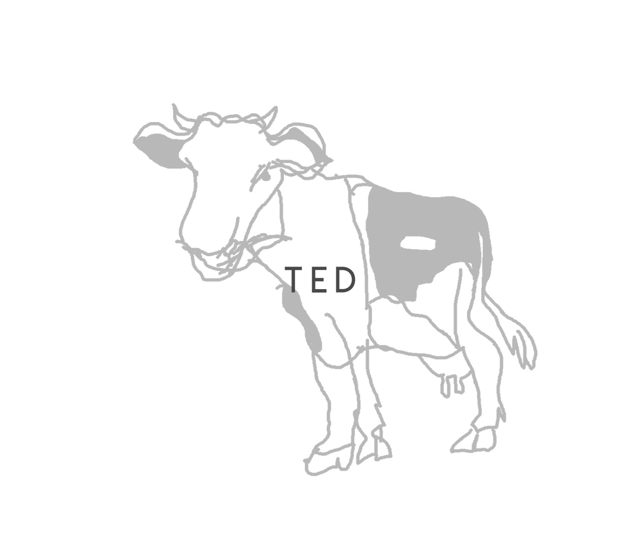 Táctica y Estrategia del Dibujo