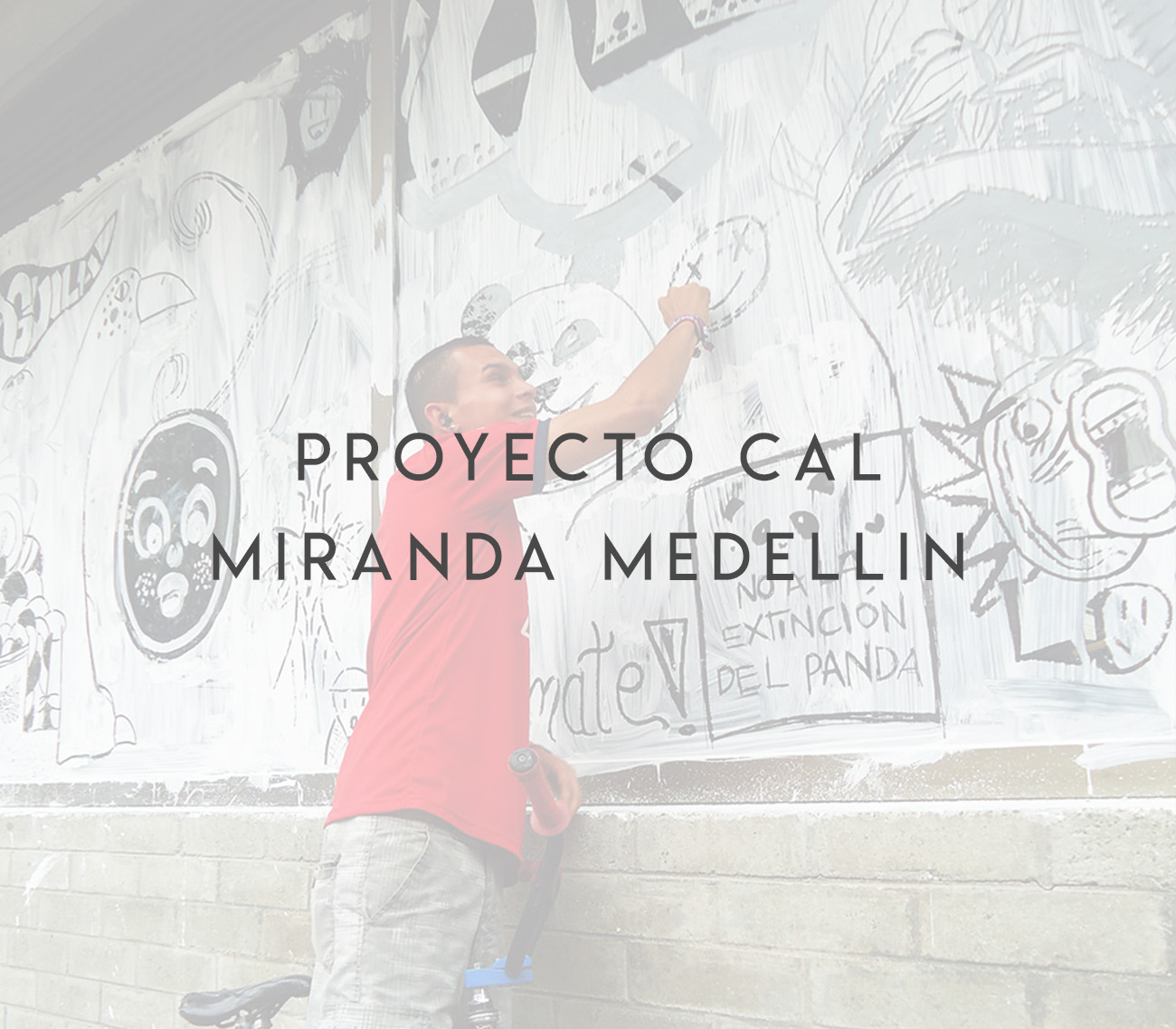 Proyecto Cal