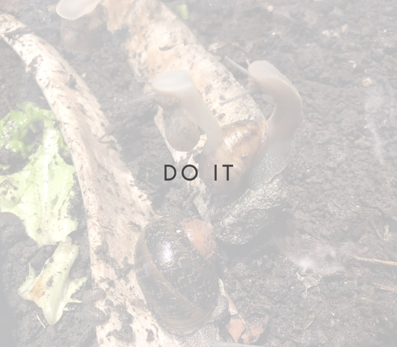 Do It