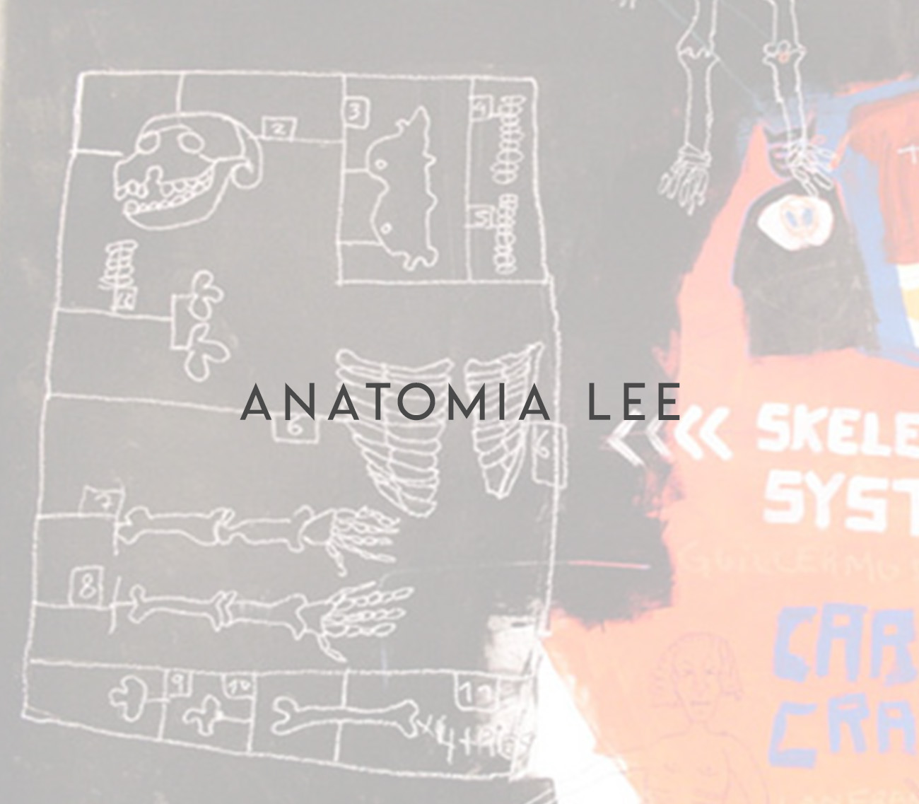 Anatomía Lee