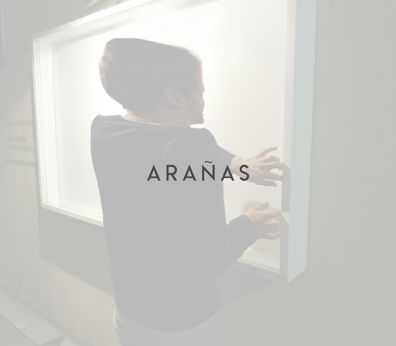 Arañas