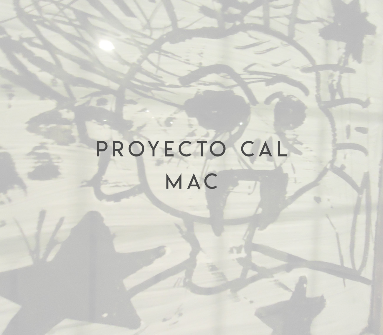 Proyecto Cal