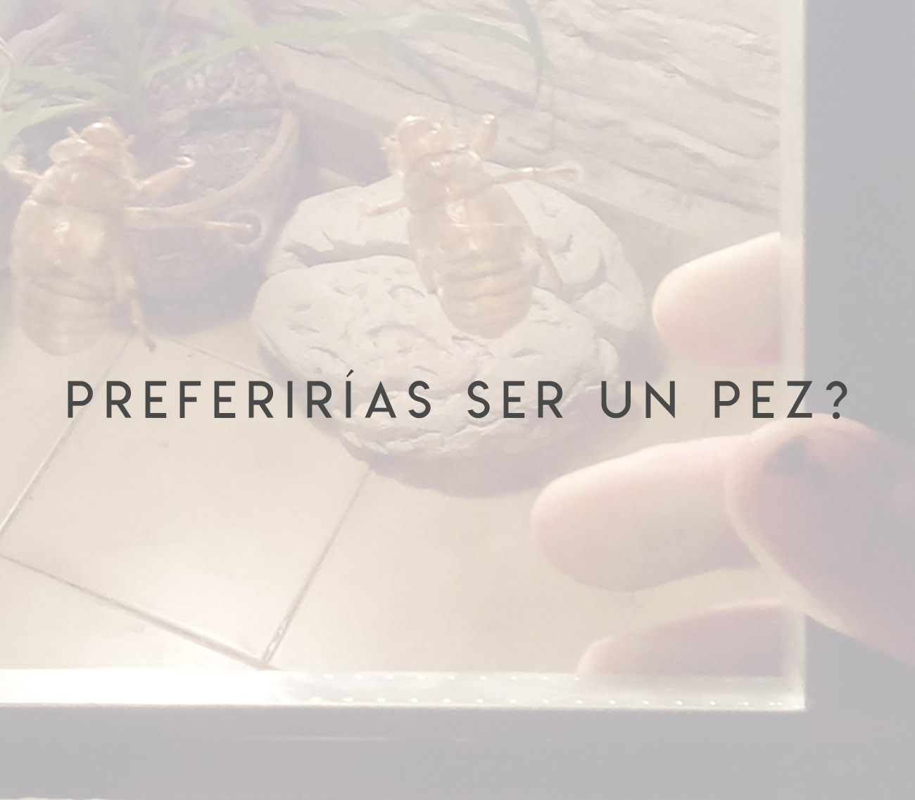 Preferirías ser un pez?