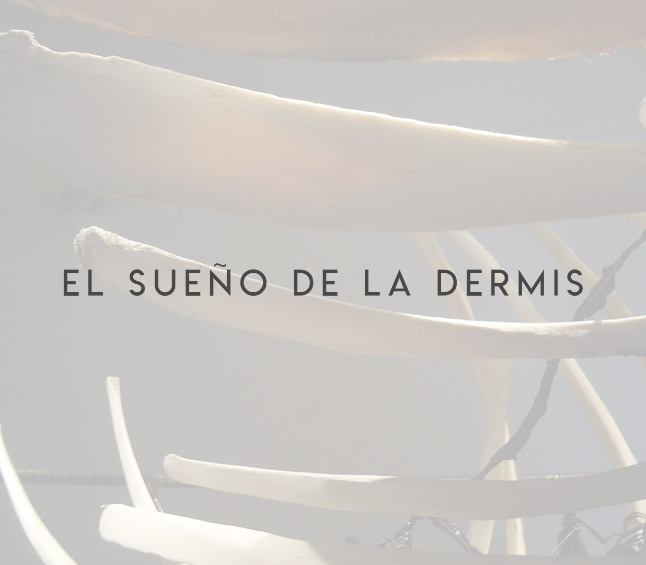El sueño de la dermis