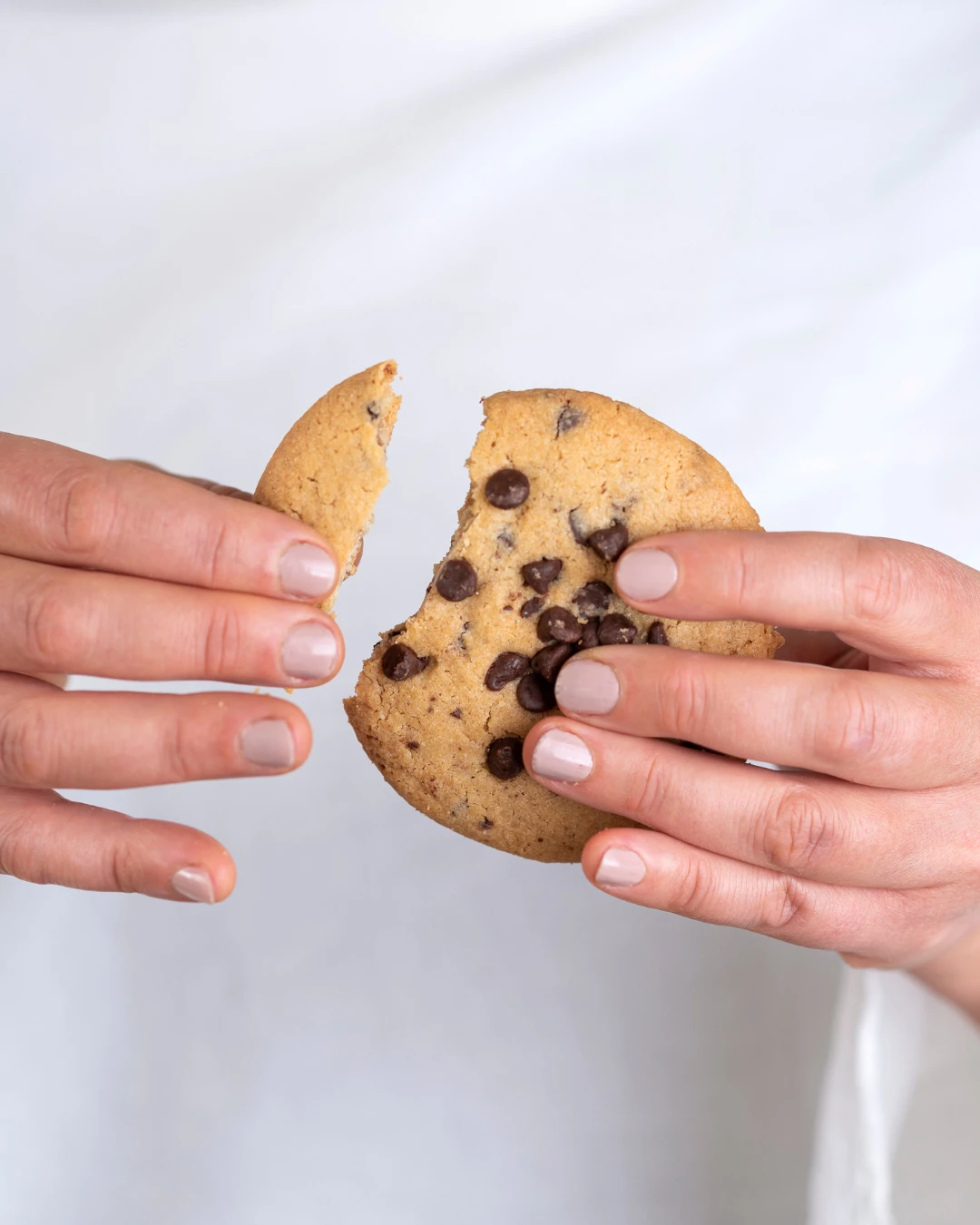 FE20240705.webp