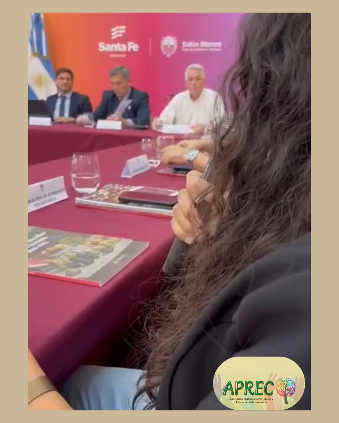 APRECO participó del Consejo Económico y Social de la Provincia 