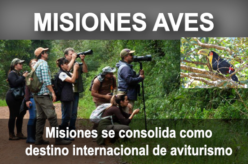 🦜 Misiones se consolida como destino internacional de aviturismo con el lanzamiento de Volar 2025