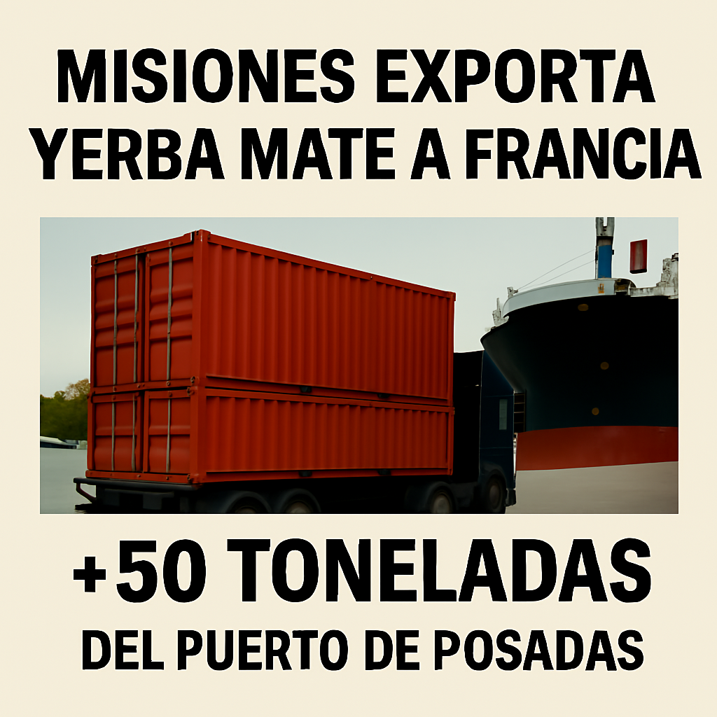 🧉🚢 Yerba Mate de Misiones: 50 Toneladas Parten del Puerto de Posadas hacia Francia