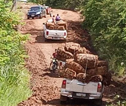 La “Ruta del Tabaco”: ¿El Próximo Gran Negocio Turístico?