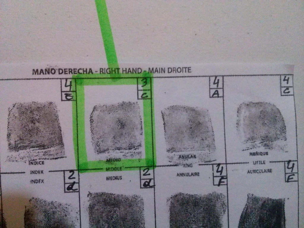  Papiloscopia ISSP 2019, Catedra Patricia Picsionieri .