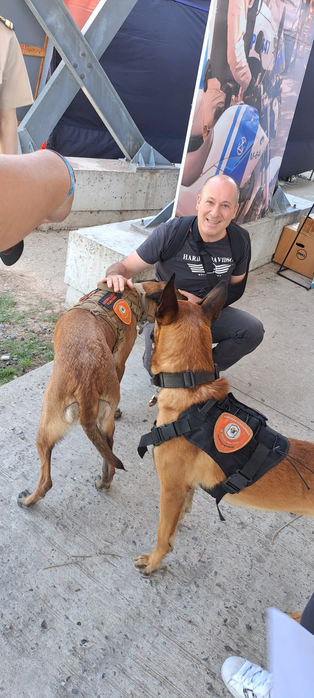 Hermanos K9 de Ciudad.