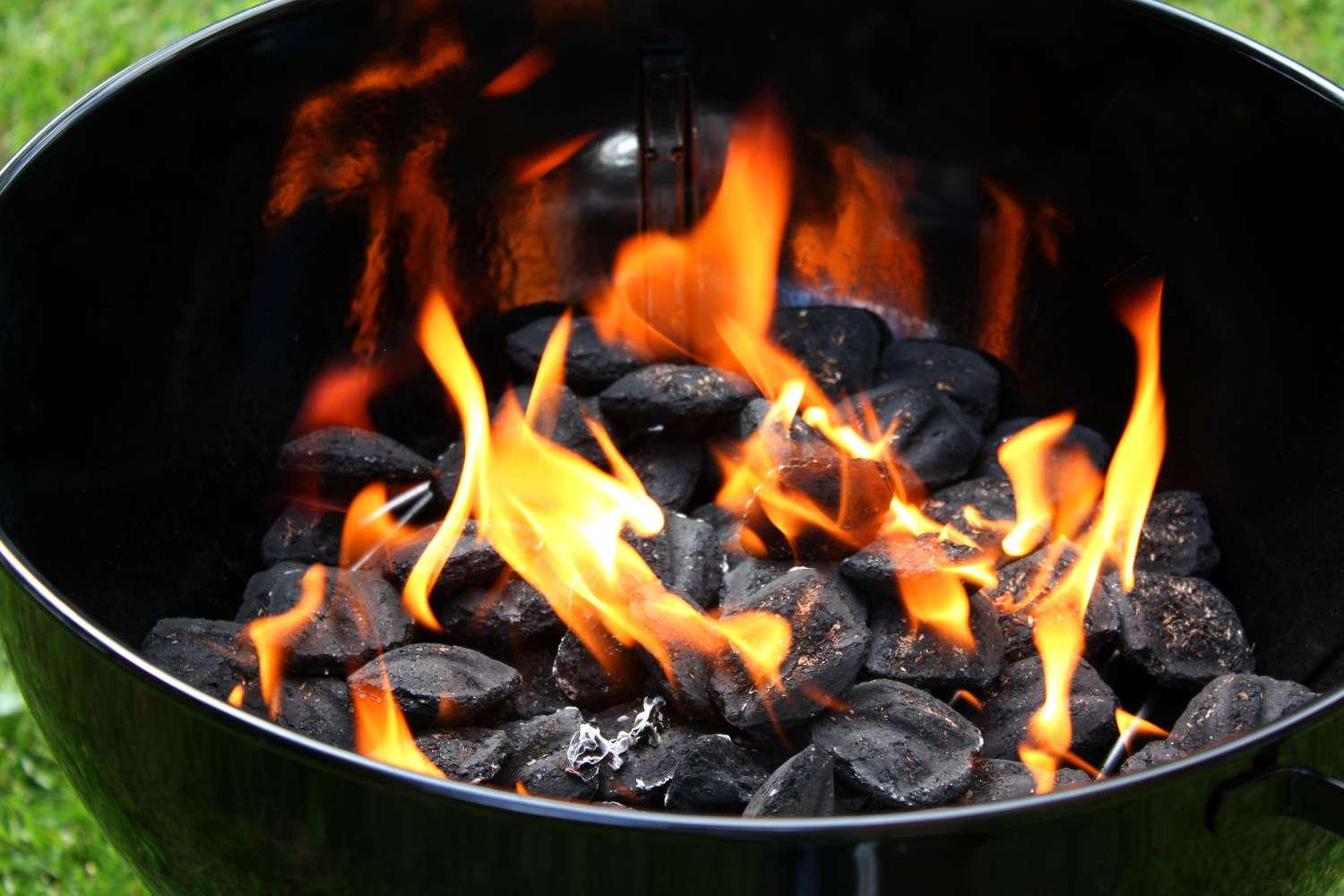 Los diferentes tipos de leña o carbón utilizados para cocinar carne a la parrilla.