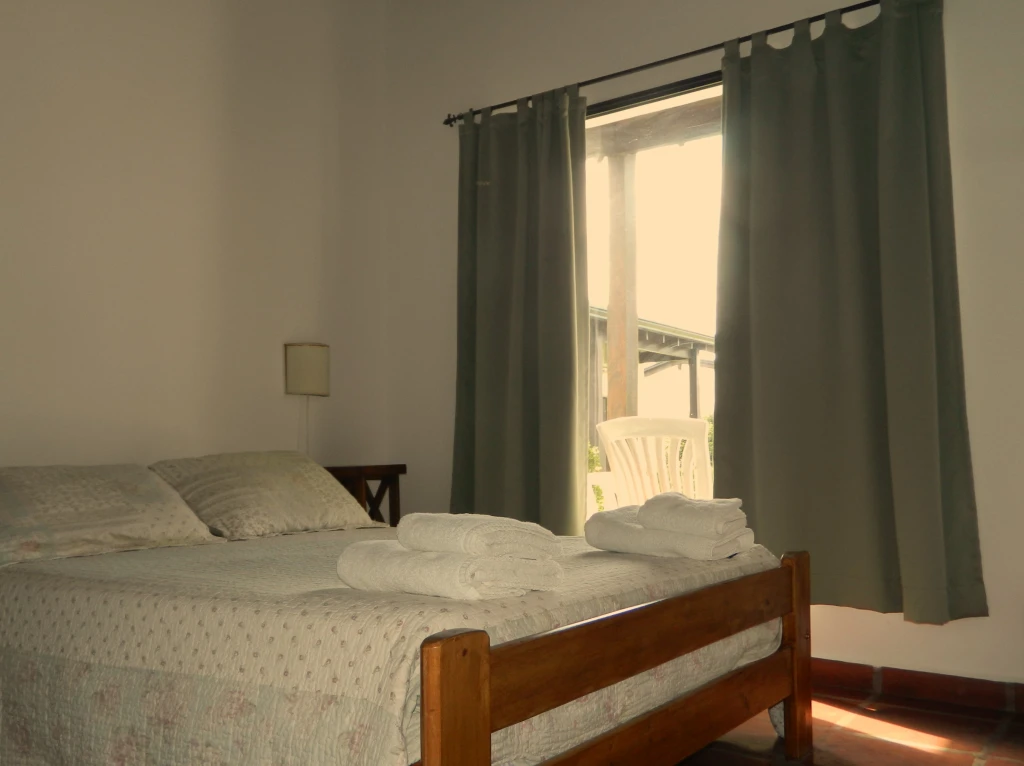 DSCN8296.webp