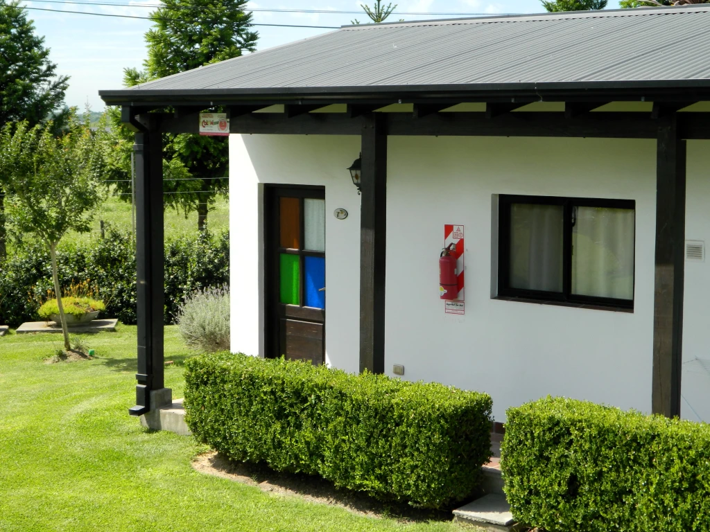 DSCN8471.webp