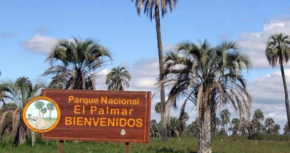 Parque Nacional el Palmar