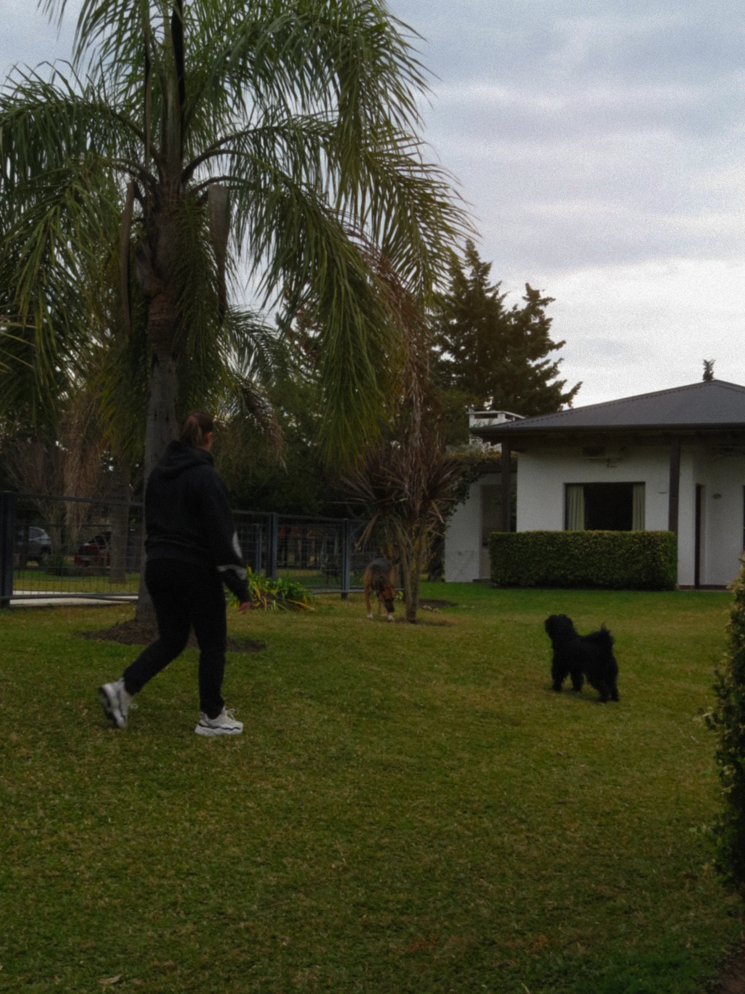 IMG5979.webp
