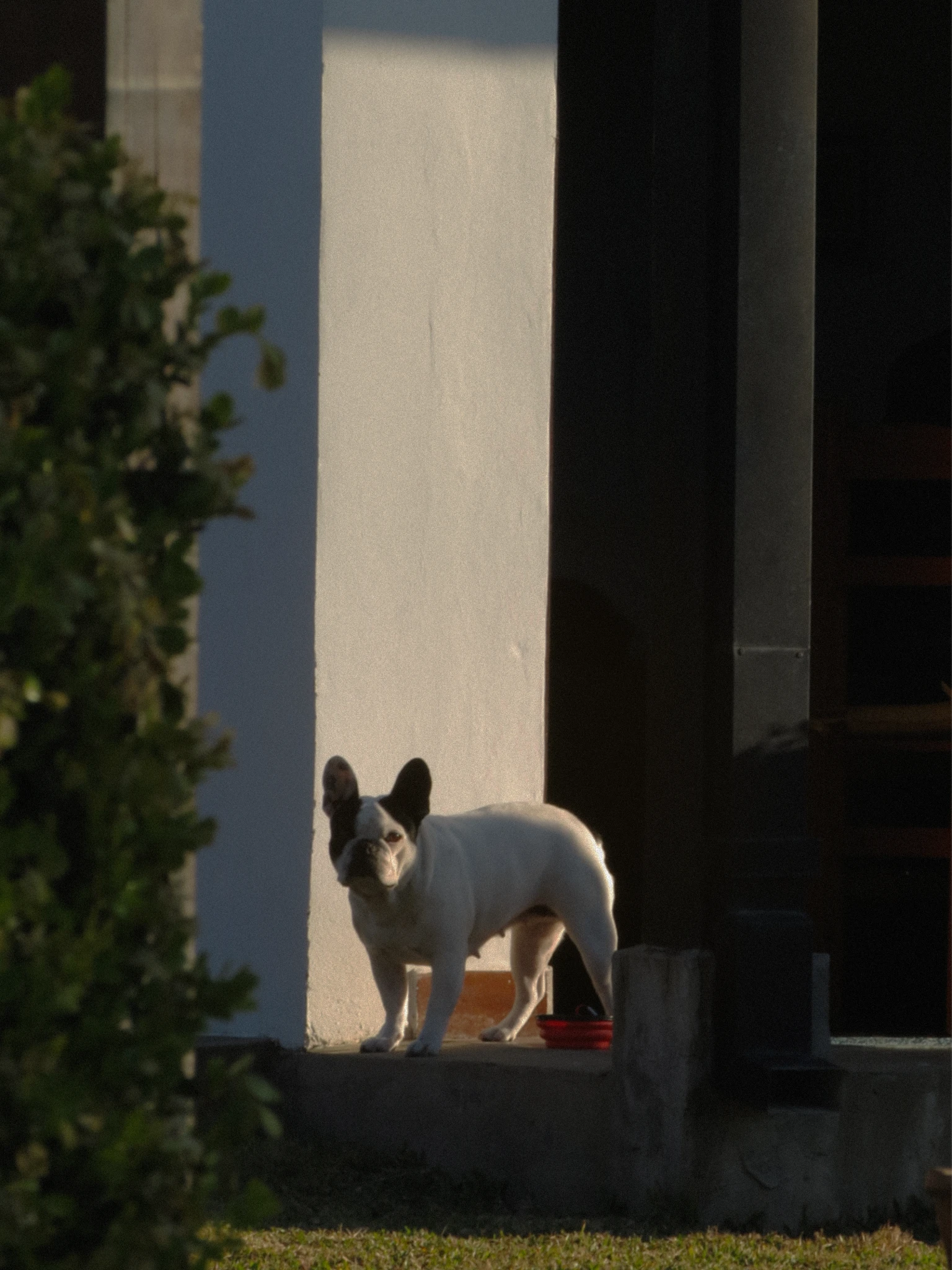 IMG6066.webp