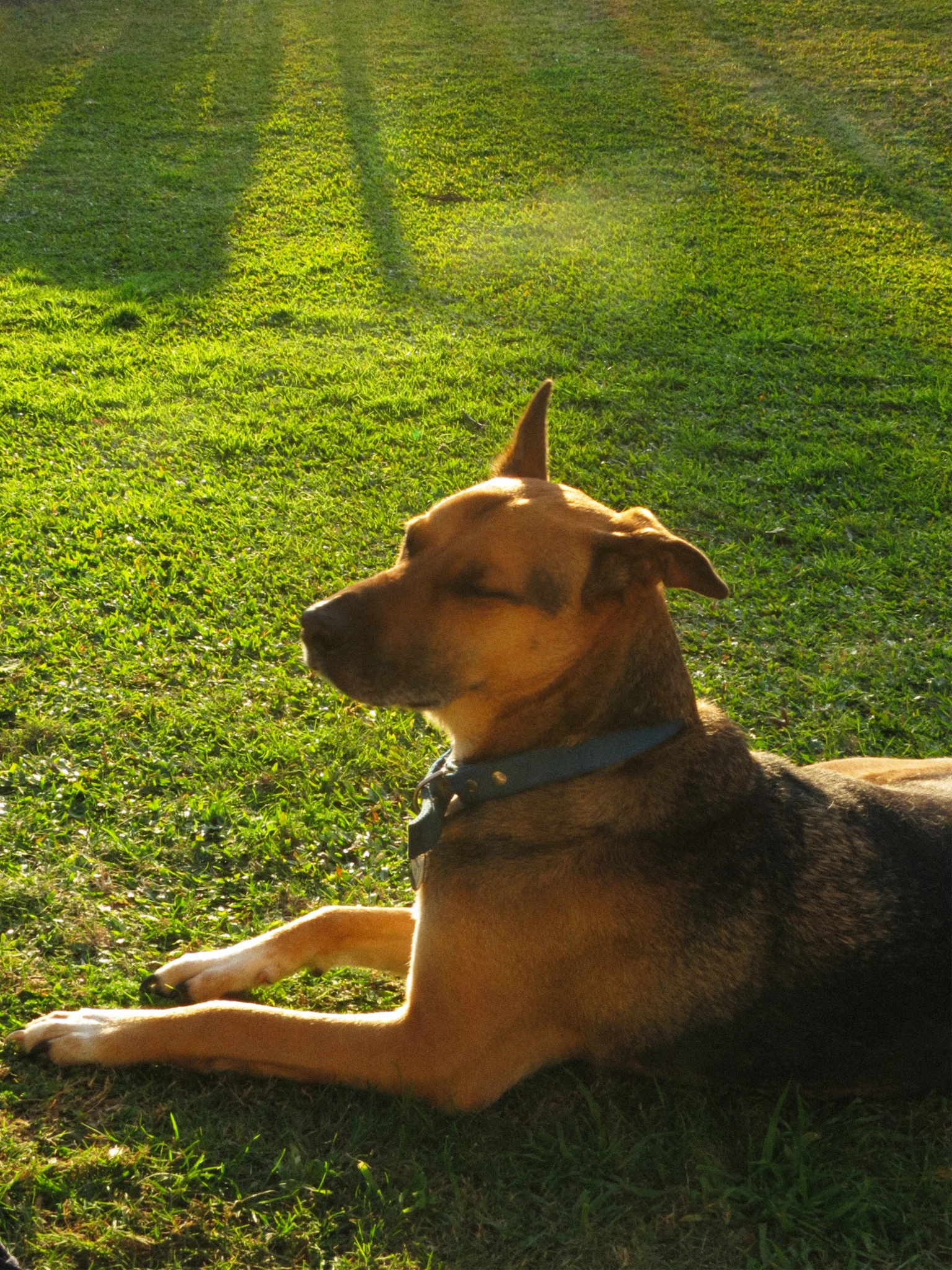 IMG6257.webp