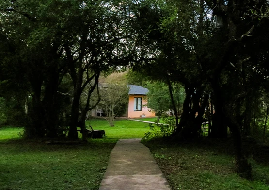Slideinstitucional1-555x391px.webp