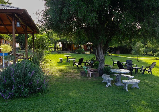 Slideinstitucional3-555x391px.webp