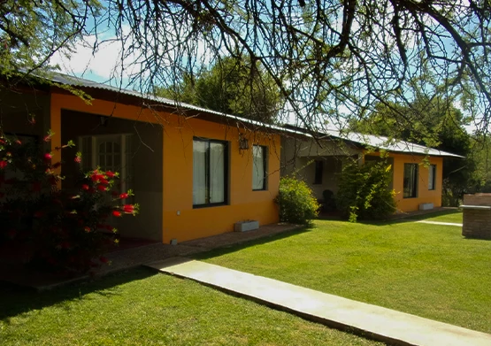 Slideinstitucional4-555x391px.webp
