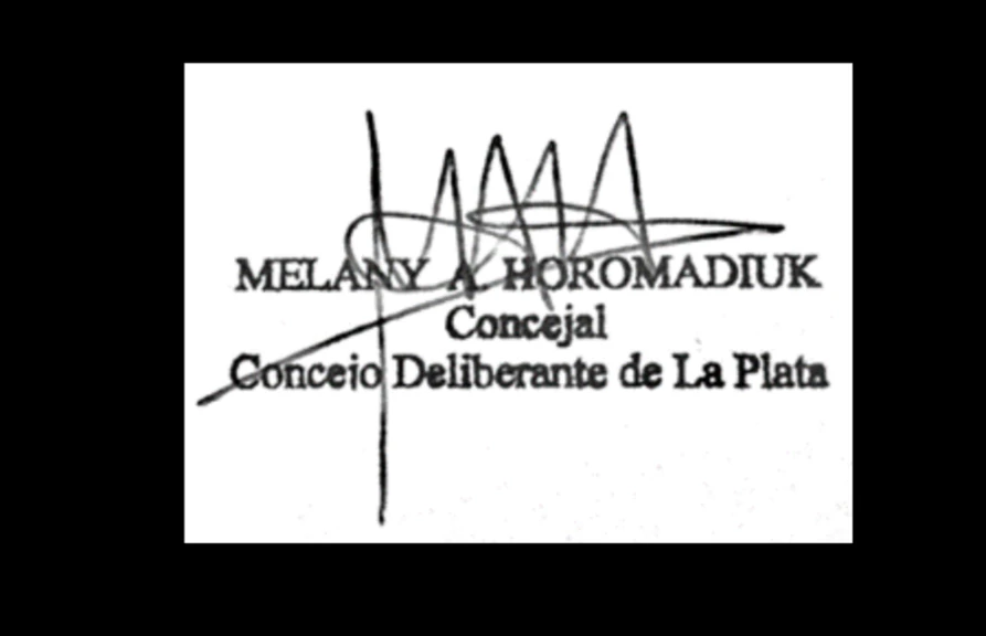 Villa Elvira: presentan proyecto para instalar reductores de velocidad y reforzar la señalización en un sector escolar
