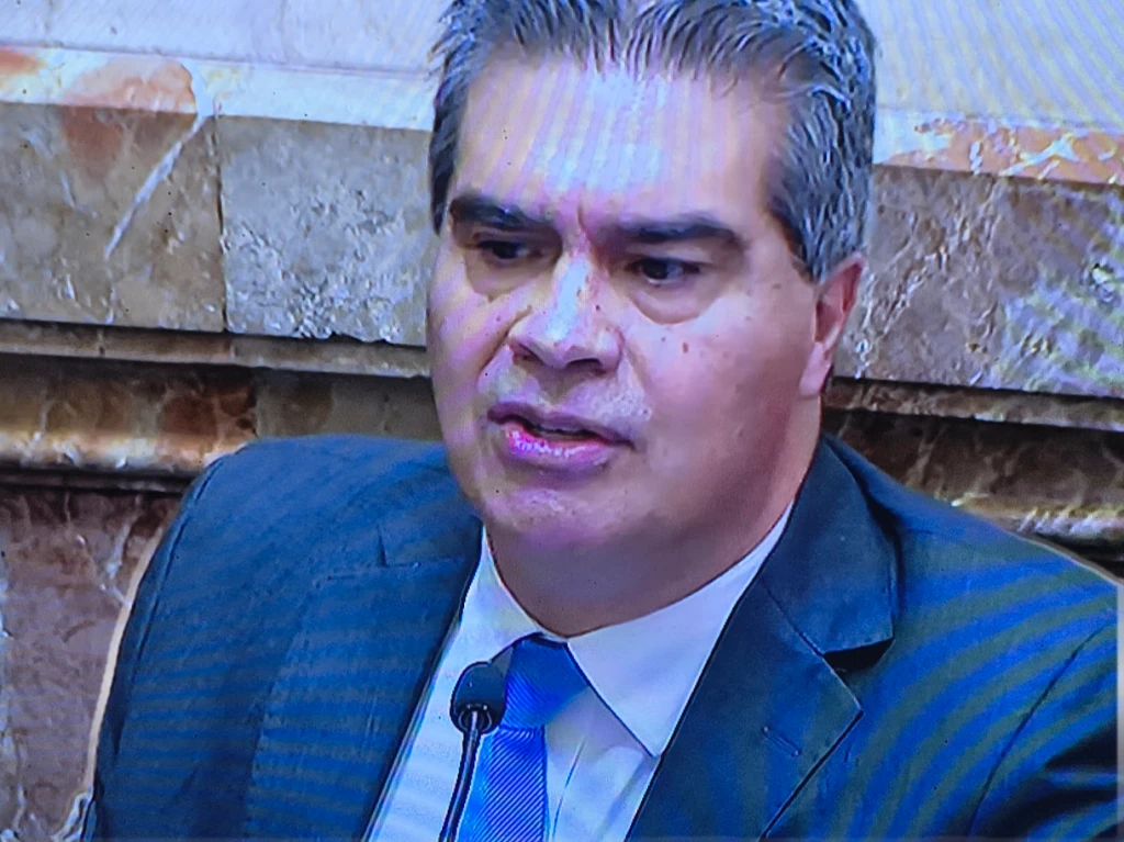 Capitanich cuestionó la Ley de Propiedad Privada y advirtió sobre desalojos, expropiaciones y recursos estratégicos
