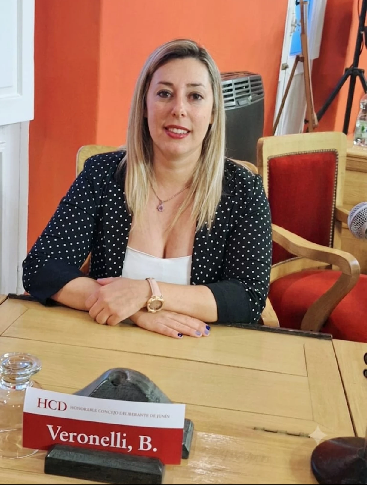 VERONELLI ROMPE CON MILEI . ¿UNA RUPTURA PERSONAL O EL SÍNTOMA DE ALGO MÁS GRANDE?