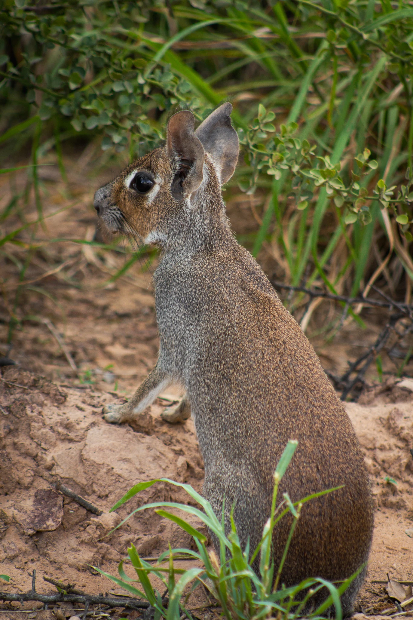 Ph: Virginia S. Barrientos