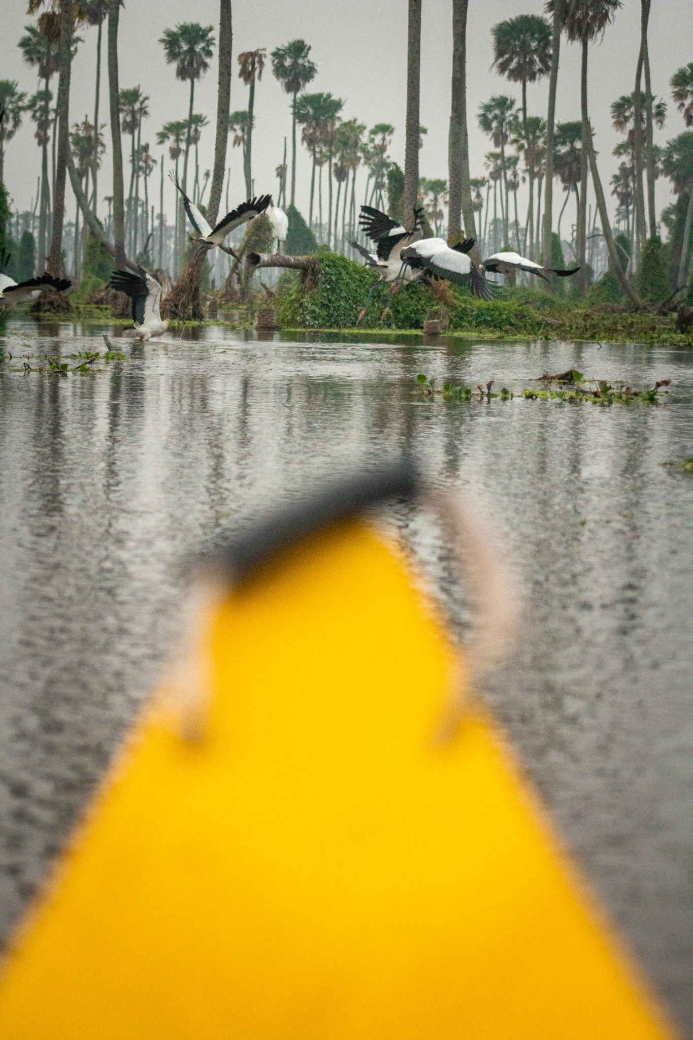 Bañado la Estrella Viajes Salvajes