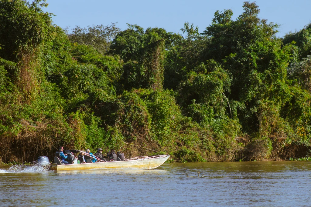 Pantanal - Viajes Salavjaes