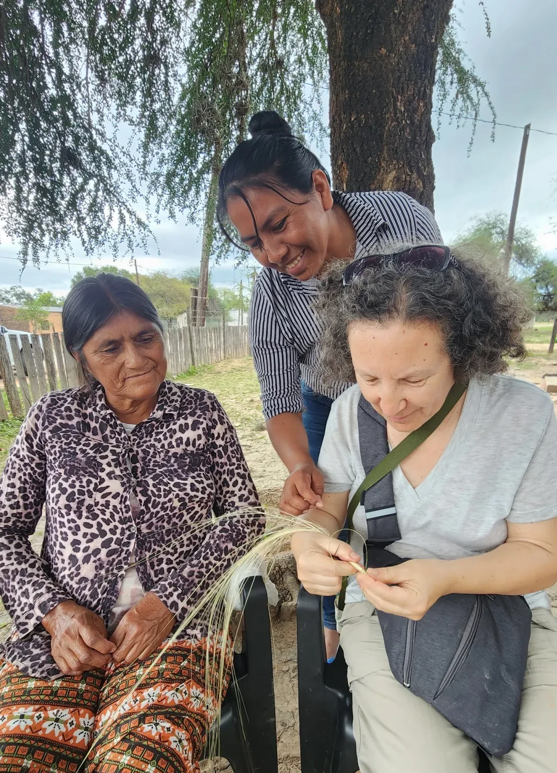 Bañado la Estrella Viajes Salvajes