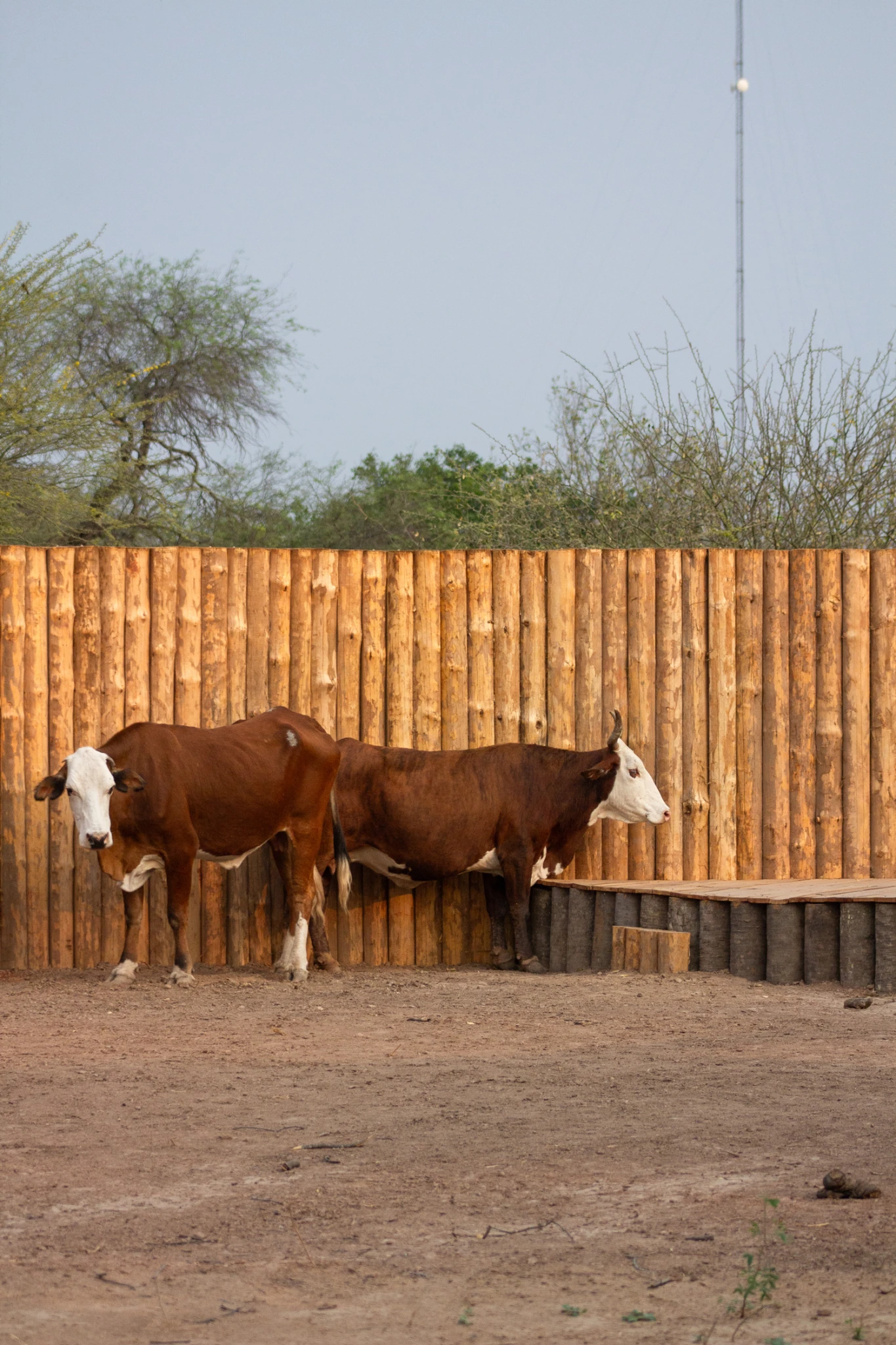 Travesía Impenetrable y Bañado la Estrella - Viajes Salvajes