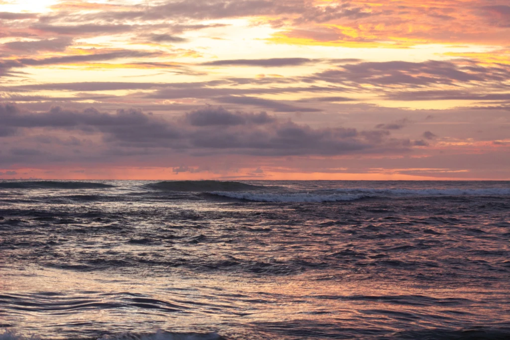 Costa Rica, Viajes Salvajes