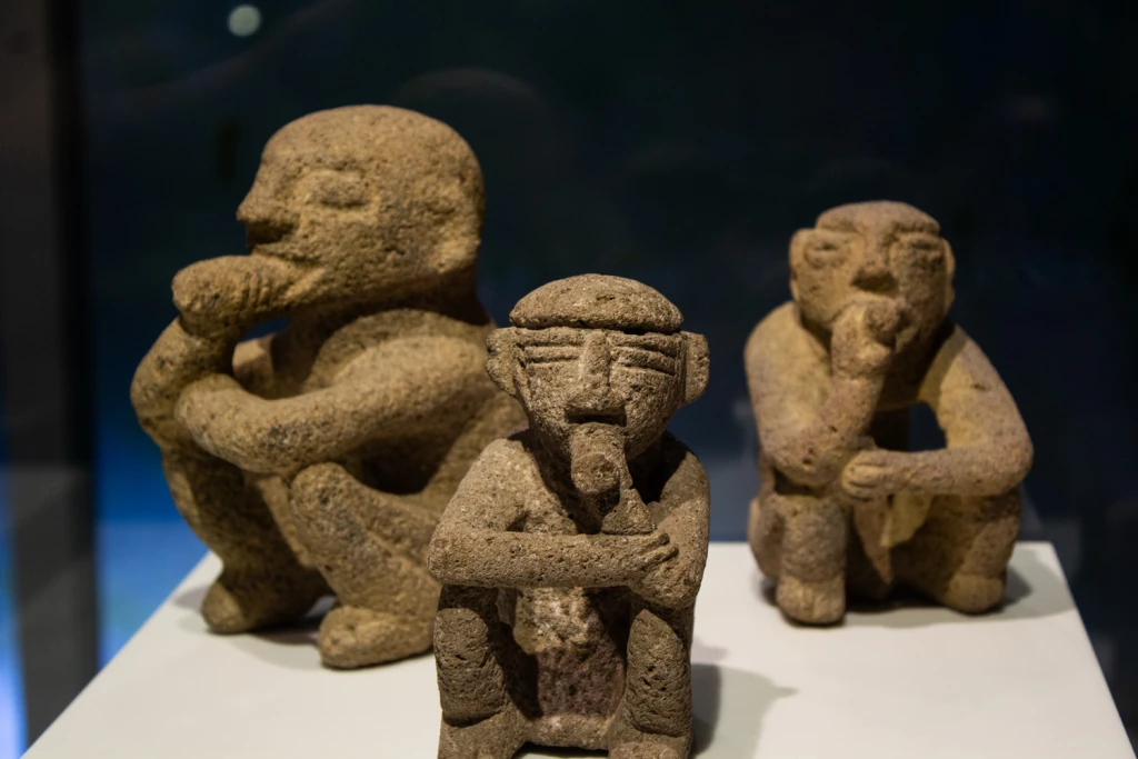 Costa Rica, Viajes Salvajes