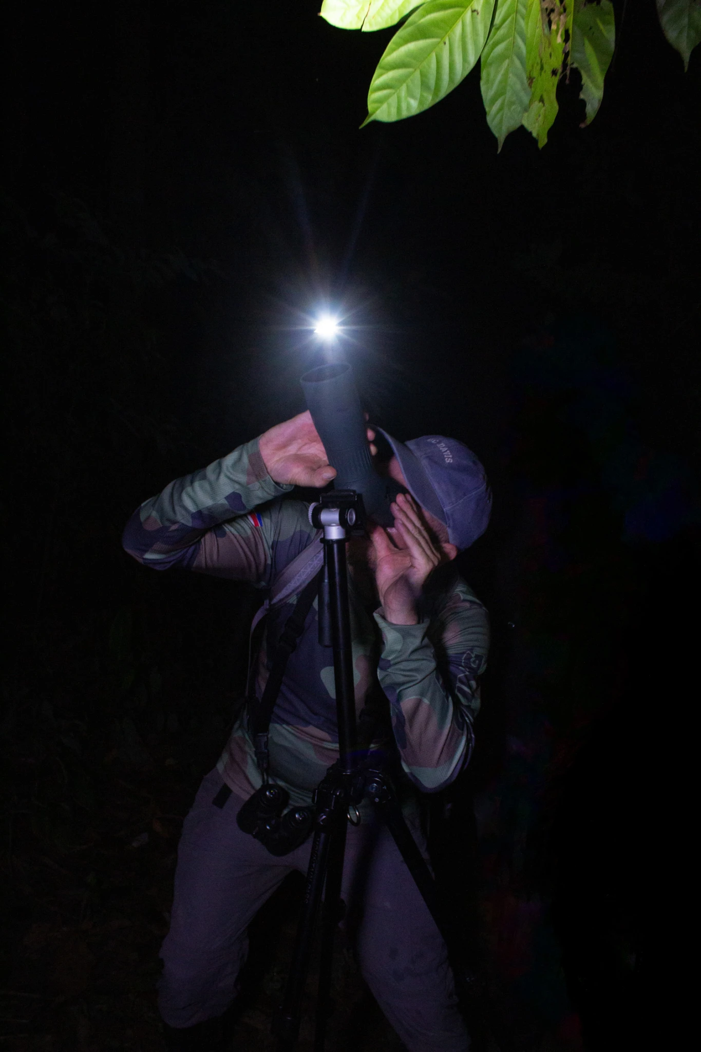 Costa Rica, Viajes Salvajes