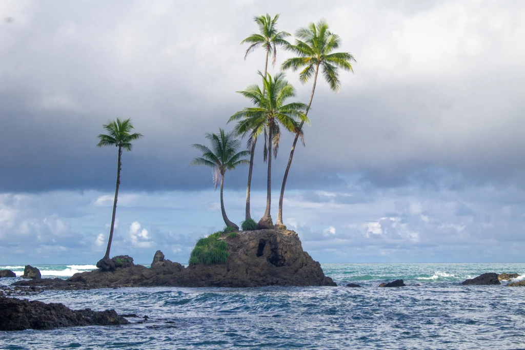 Costa Rica, Viajes Salvajes