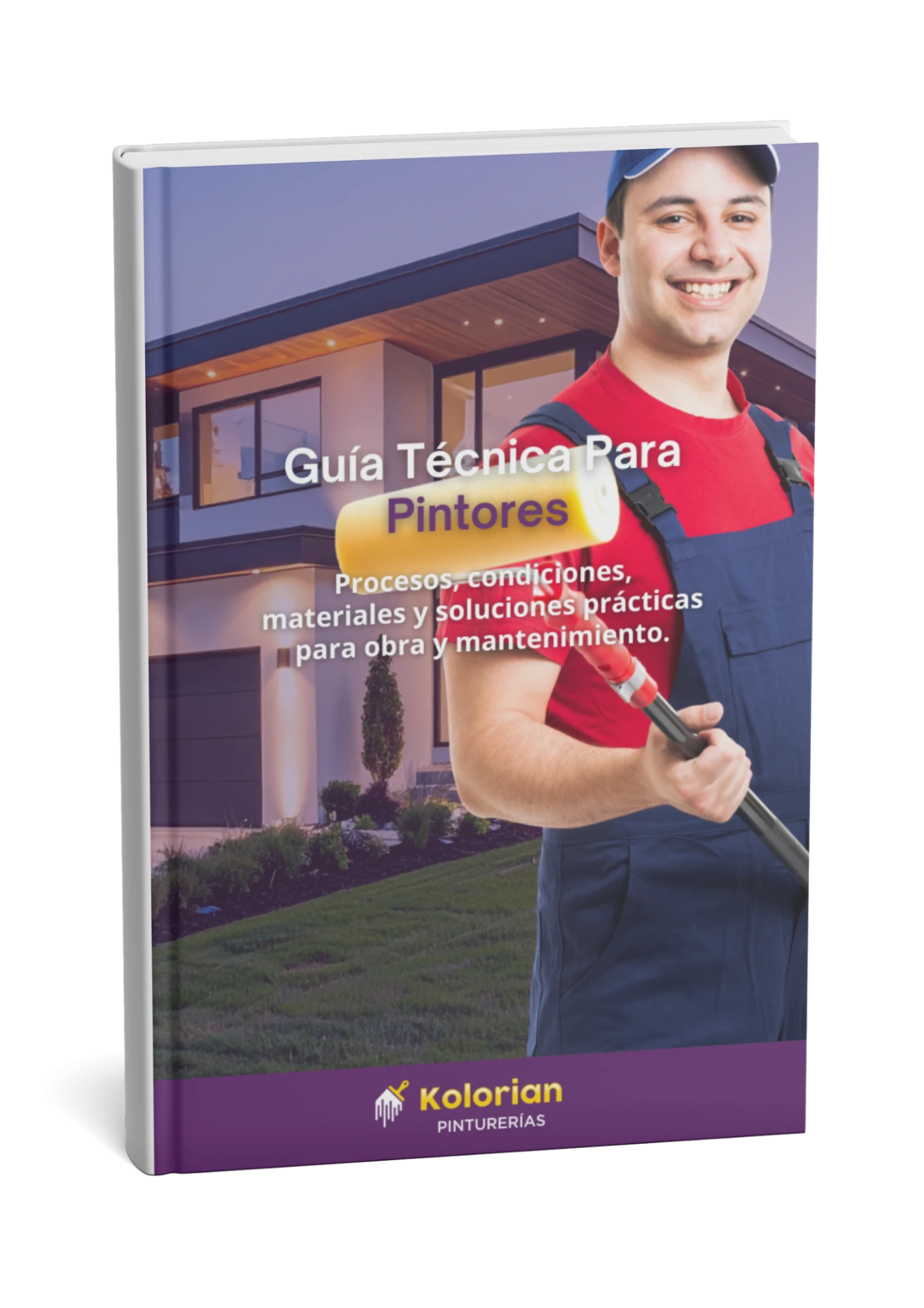 MANUAL EXPRESS PARA OOMPRADORES DE INSUMOS DE PINTURA