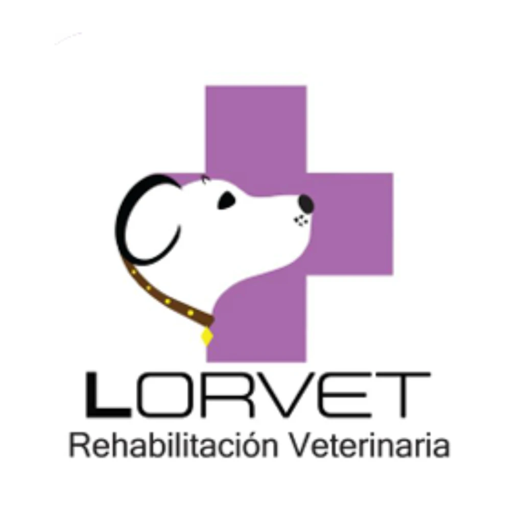 VETERINARIA.webp
