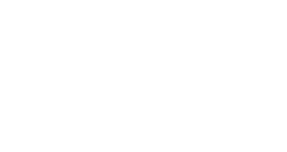 Fan Page