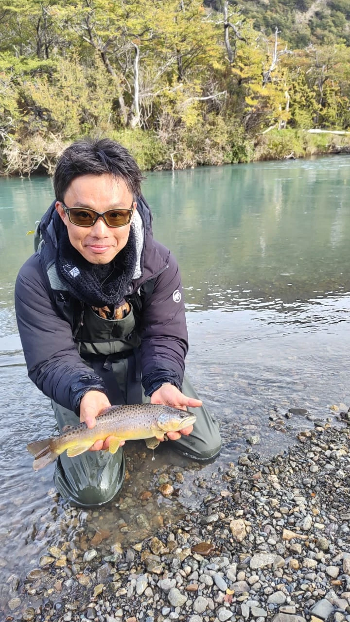 Trucha patagónica