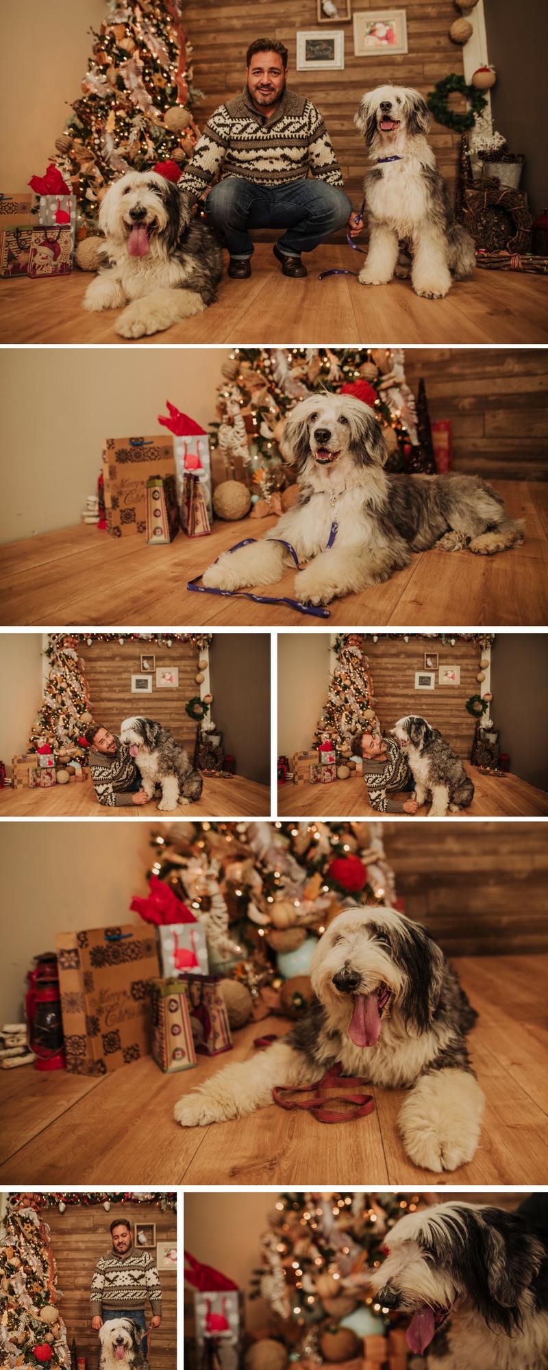 set navideño, set navideño en chihuahua, navidad, familia, fotos divertidas navideñas