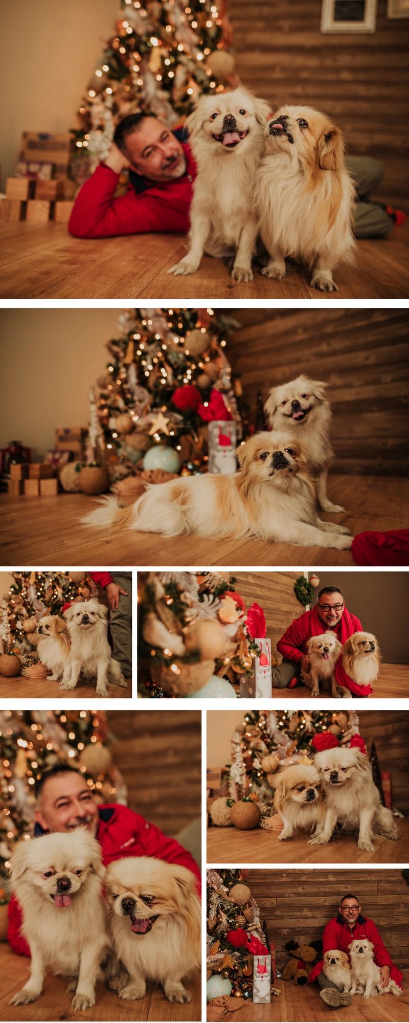 set navideño, set navideño en chihuahua, navidad, familia, fotos divertidas navideñas
