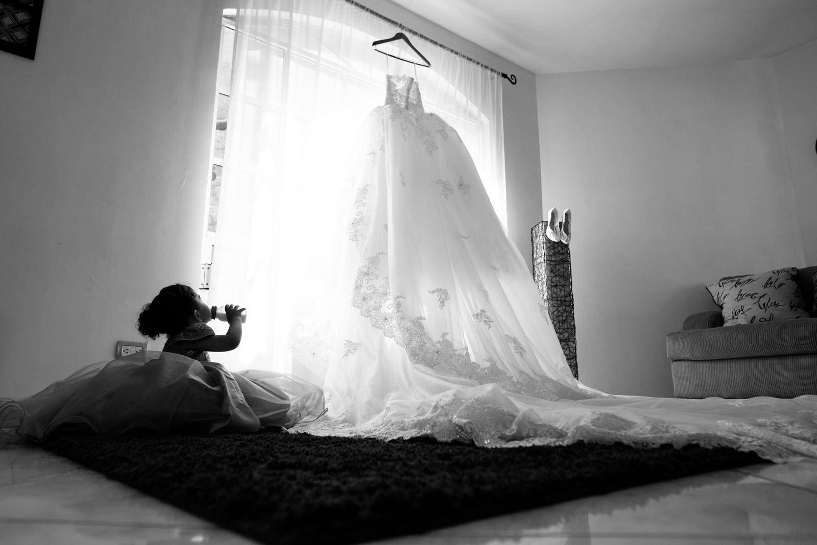 getting ready chihuahua, bodas