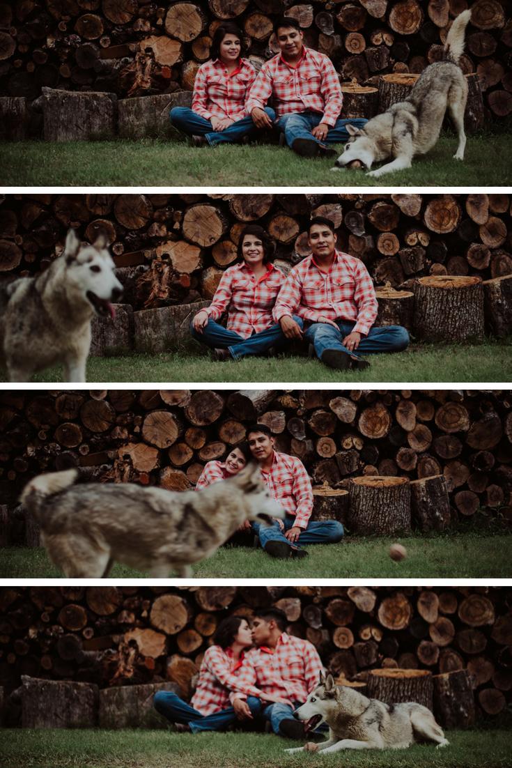 preboda madera