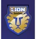 Lion Solutions SAS