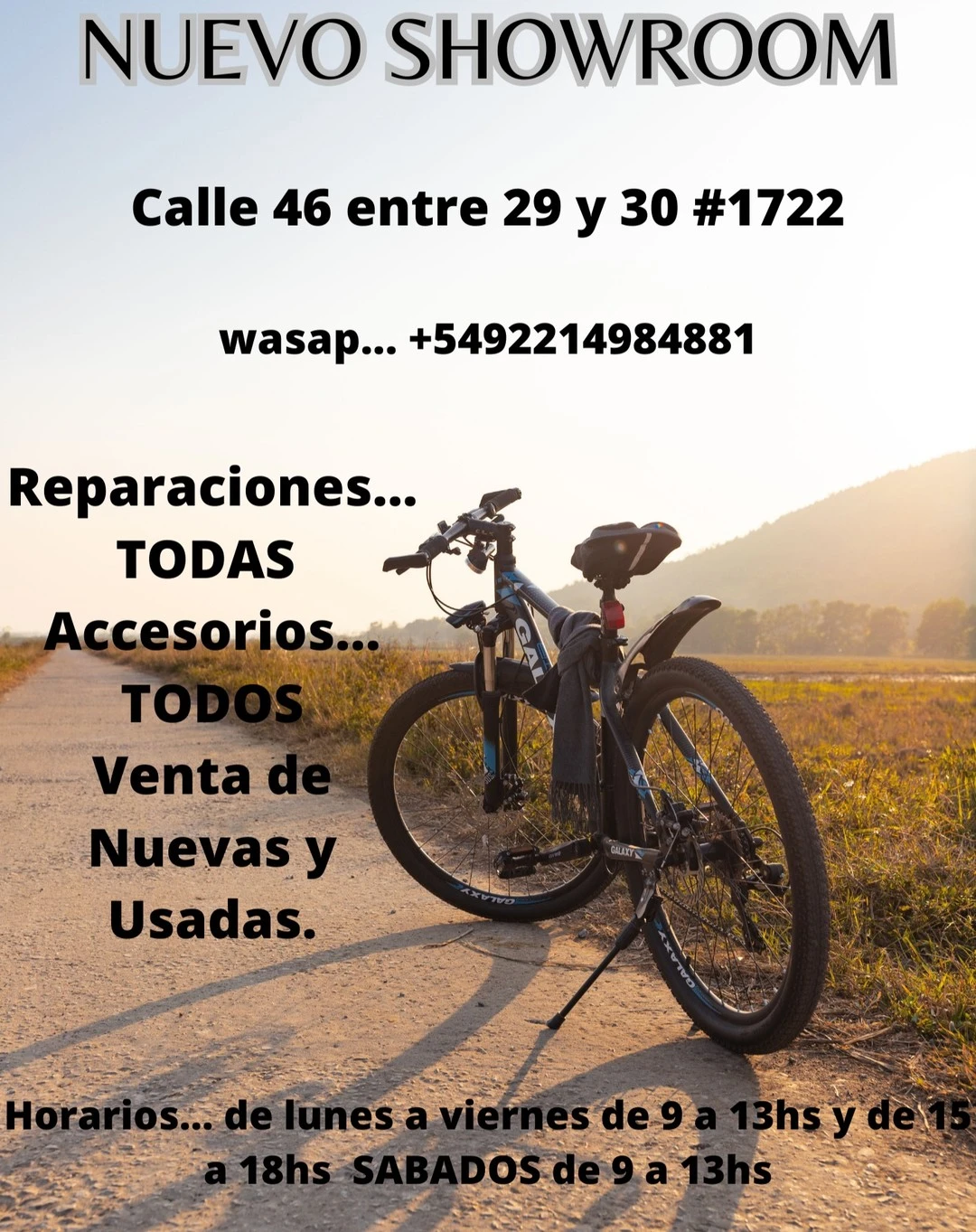 nuevoshowroom.webp