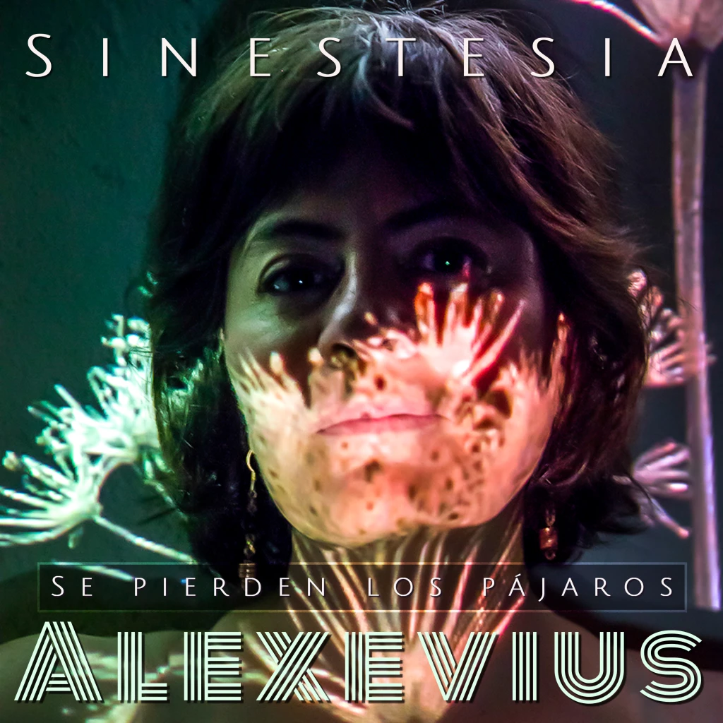 Se pierden los pájaros