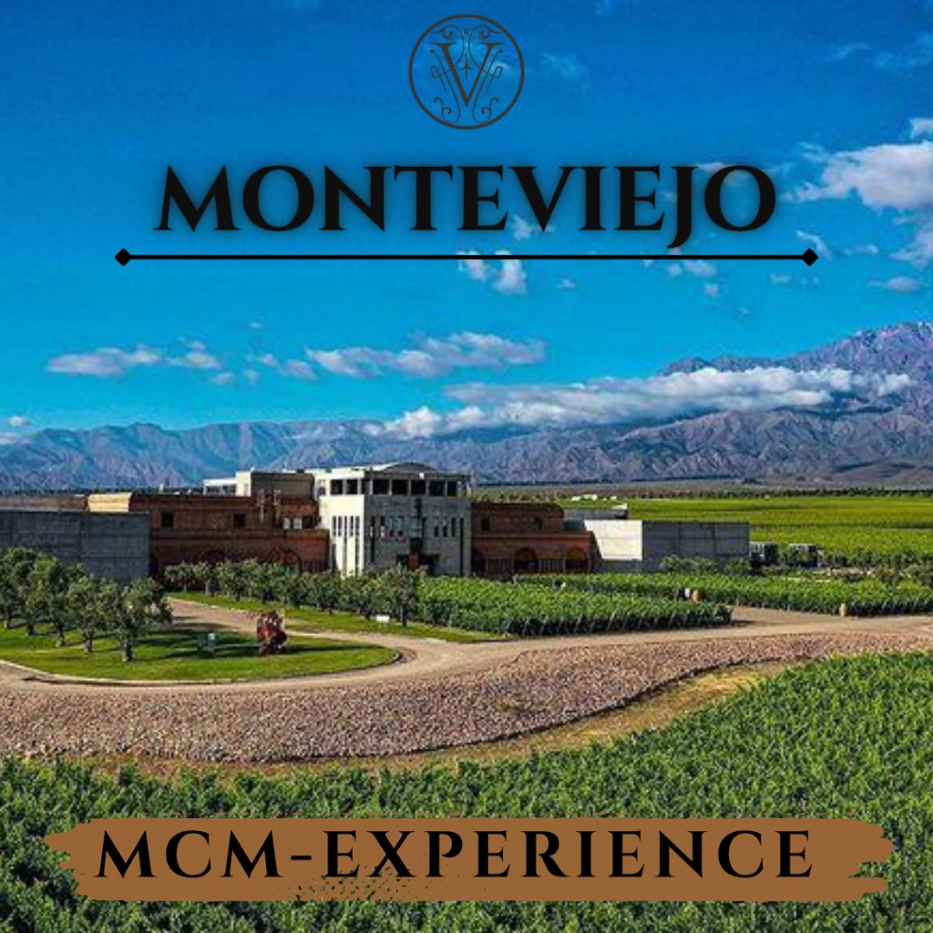 MONTEVIEJO2MUNDOS-(9024).webp